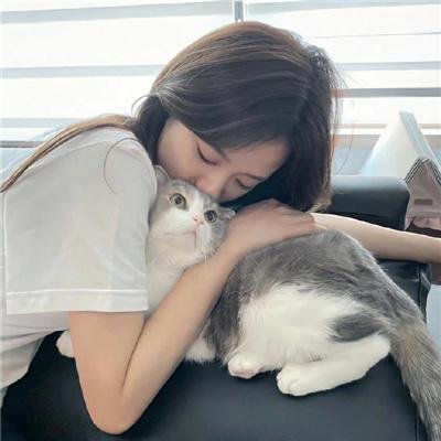 怒战狂心